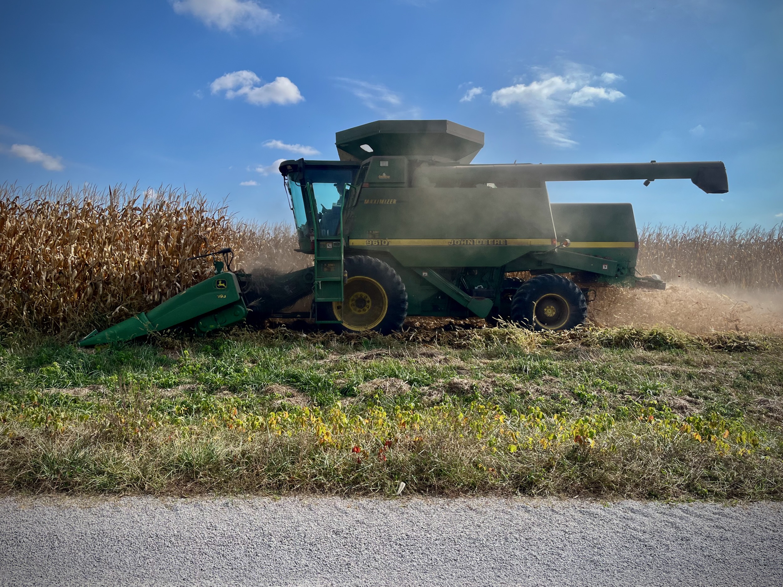 A green combine harvester cutting through a field of late-season corn under a blue Midwestern sky, dust rising as it gathers the grain.